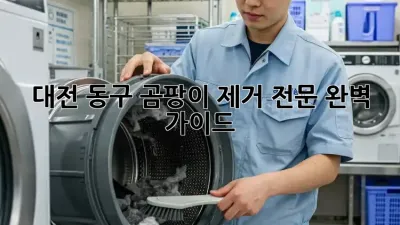 대전 동구 곰팡이 제거 전문: 완벽 가이드